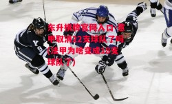 东升棋牌官网入口-意甲取消22支球队了吗(法甲为啥变成18支球队了)